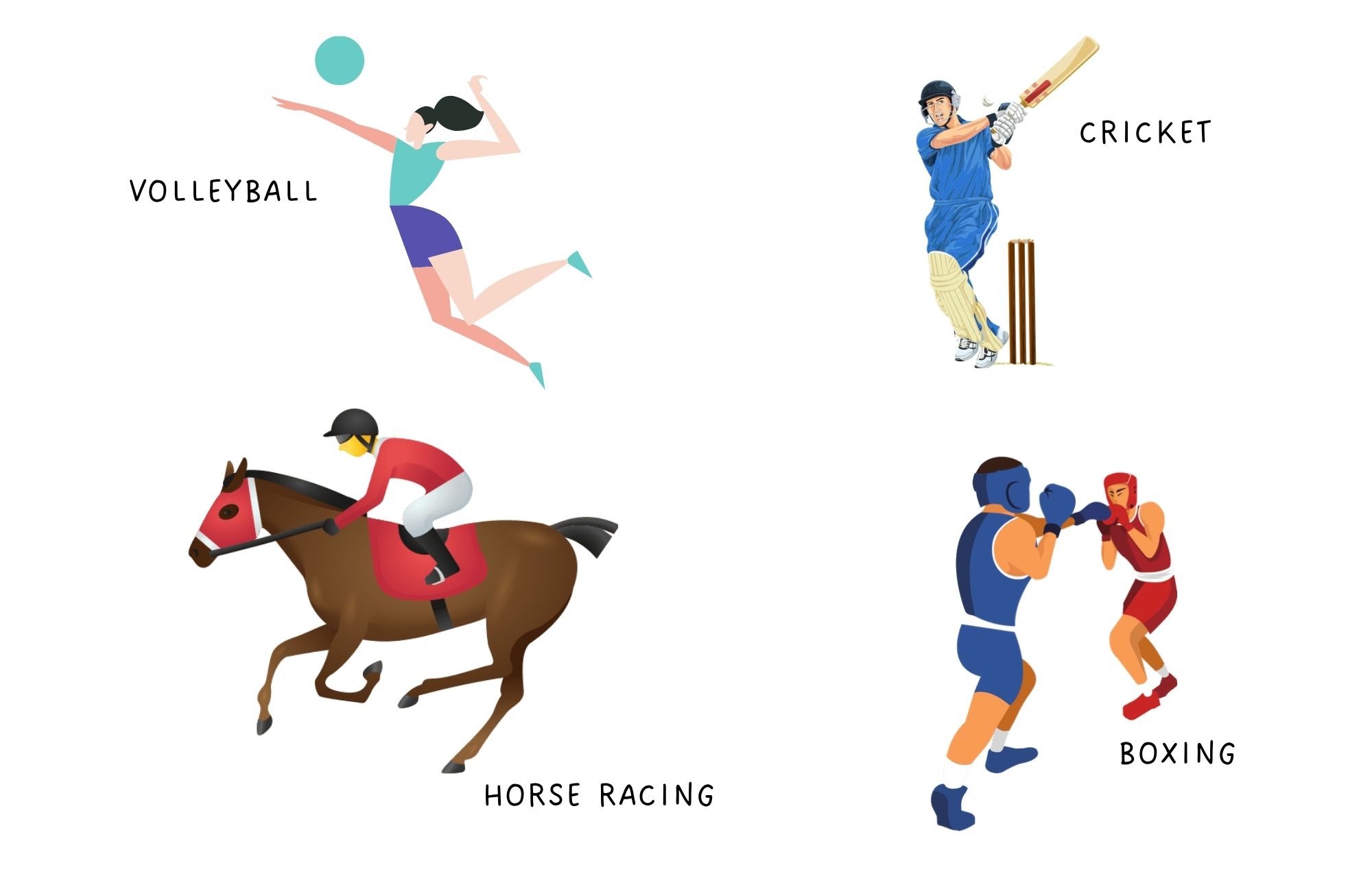 Different types of sports such as volleyball, cricket, horse racing, and boxing