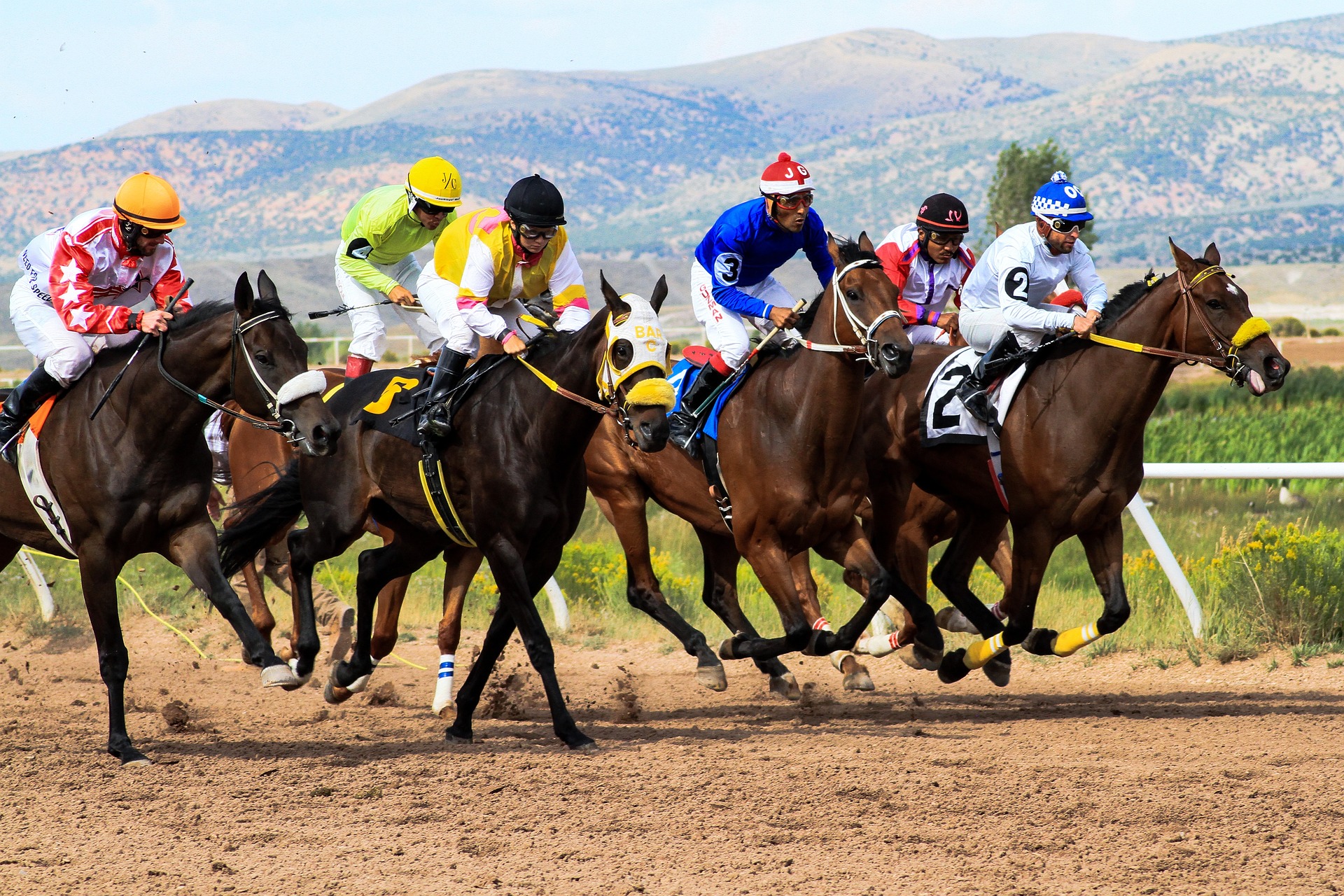 Zulubet Predictions For Today Forebet - How Do They Work?