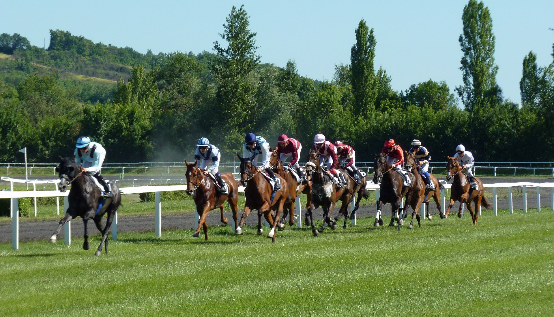 Horse race in Europe