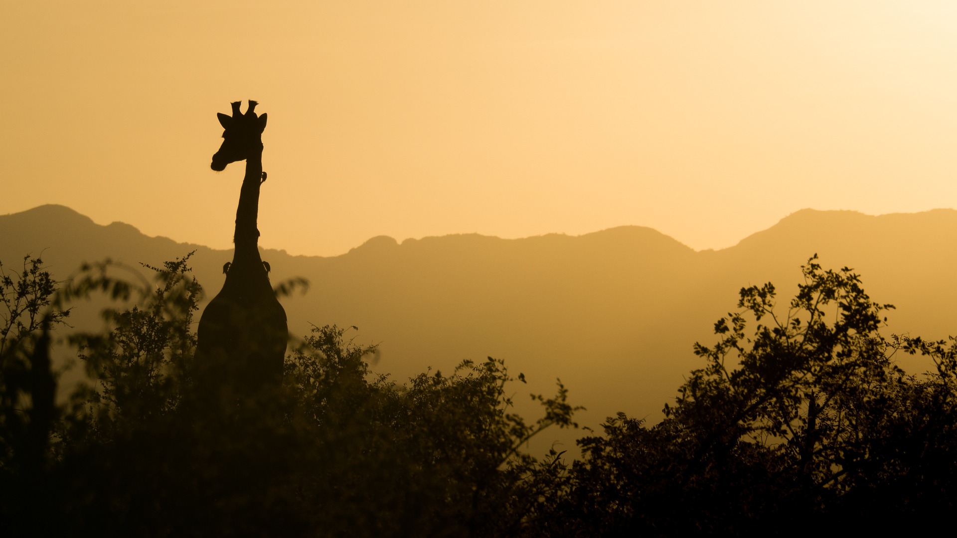 Best Time To Visit South Africa