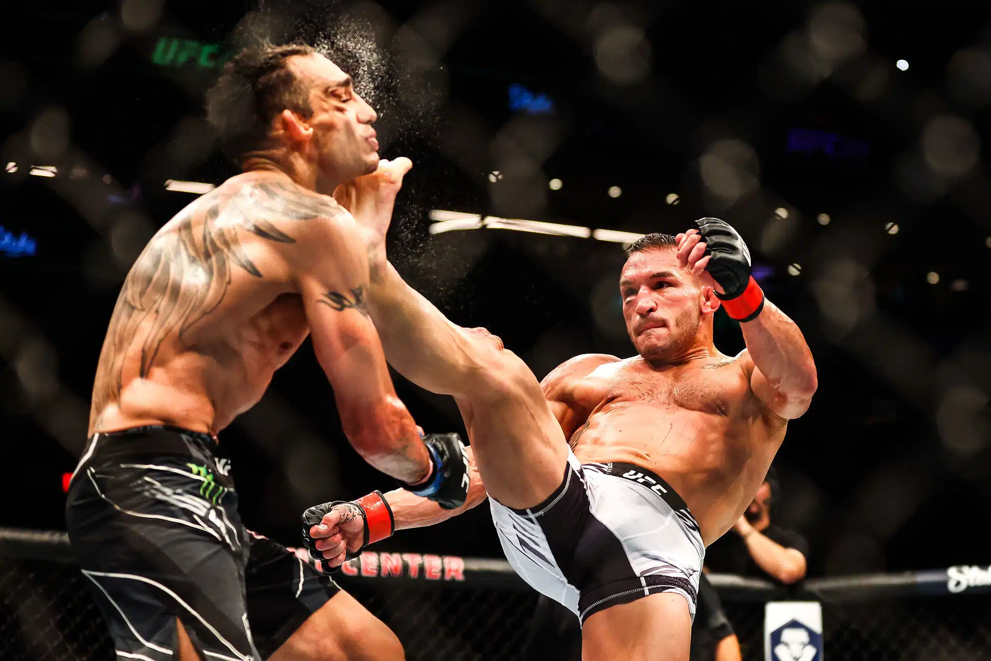 The World Of Combat Sports - Boxing And MMA