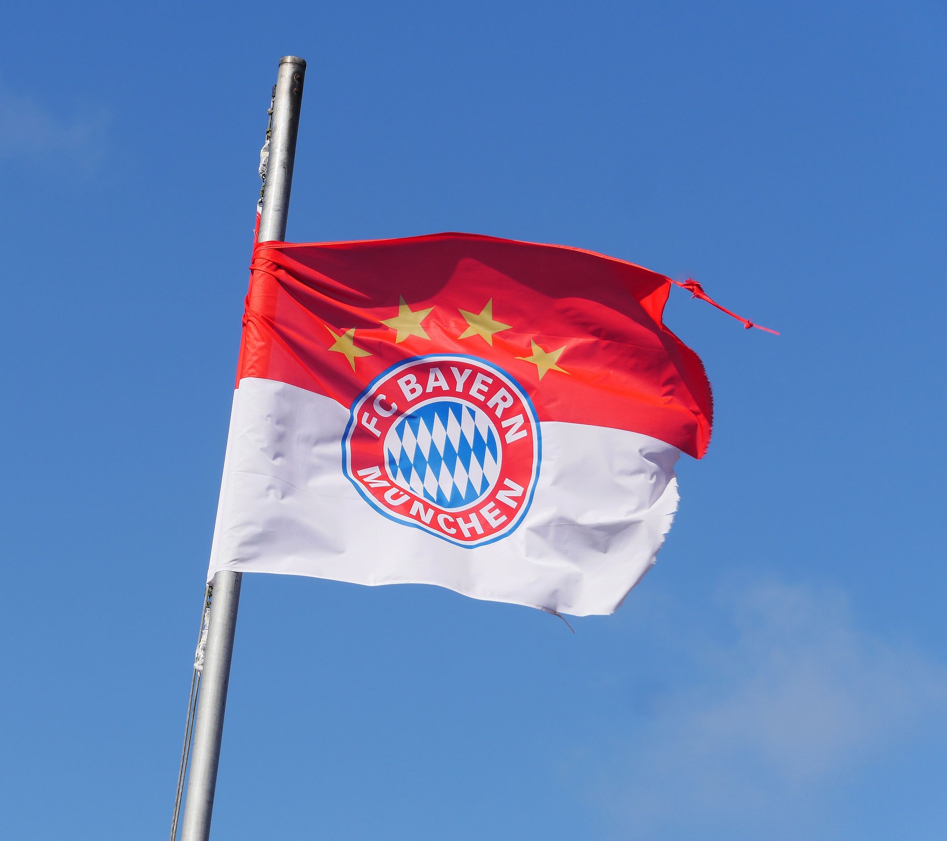 Fc bayern munich flag with team shield